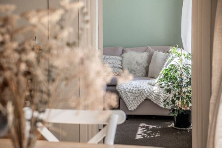 Photo of property in 55 Firth Street, Hamilton East, Hamilton, 3216