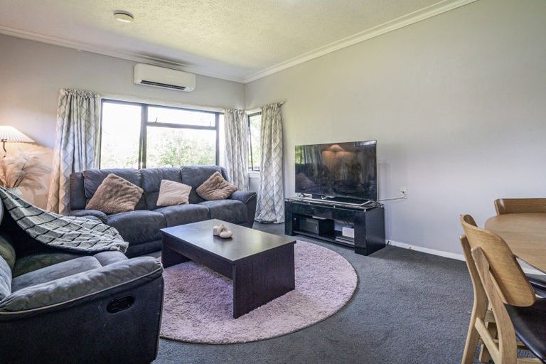 Photo of property in 809 Duke Street, Mahora, Hastings, 4120