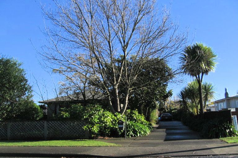 Photo of property in 107a Norton Road, Akina, Hastings, 4122