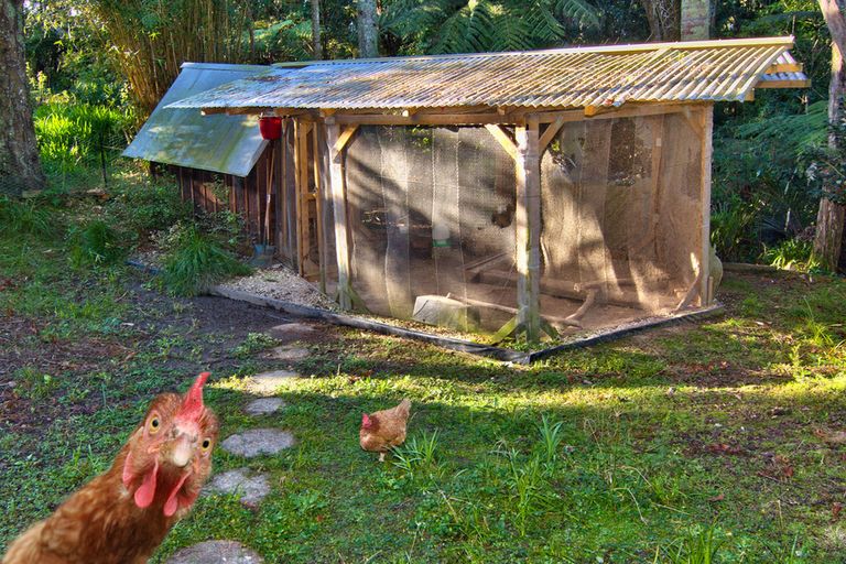 Photo of property in 196 Godley Road, Titirangi, Auckland, 0604