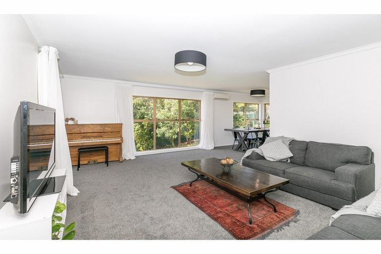 Photo of property in 29 Sunnyhills Avenue, Glenview, Hamilton, 3206