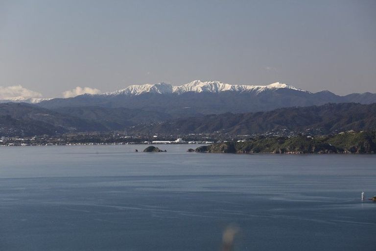 Photo of property in 21 Waipapa Terrace, Hataitai, Wellington, 6021