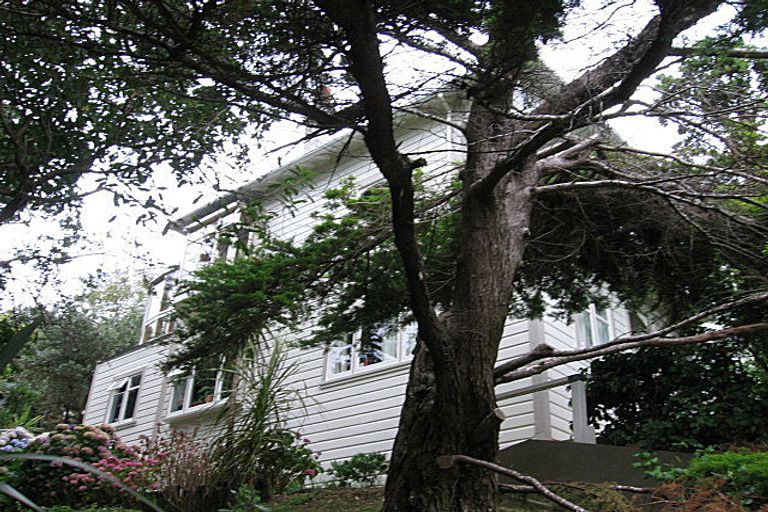 Photo of property in 51 Mornington Road, Brooklyn, Wellington, 6021