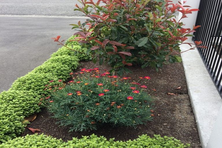 Photo of property in 138 Belt Road, Allenton, Ashburton, 7700