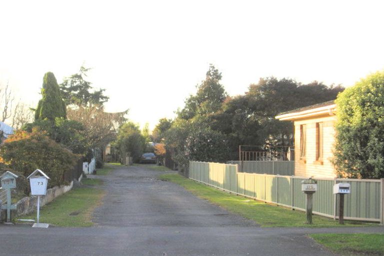 Photo of property in 175 Clarkin Road, Fairfield, Hamilton, 3214