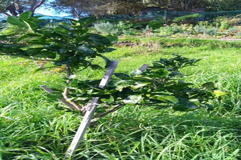 Photo of property in 190 Church Road, Kaitaia, 0482