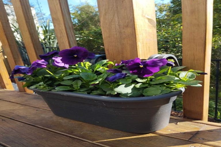 Photo of property in 10 Ketu Court, Albany Heights, Auckland, 0632