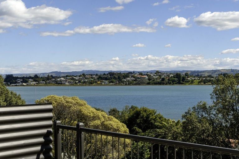 Photo of property in 17 Williams Street, Tauranga, 3110