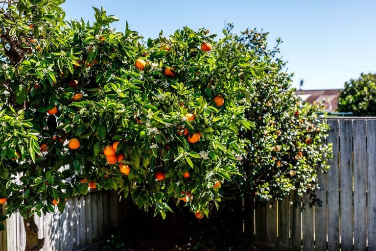 Photo of property in 8b Martin Place, Whakatane, 3120