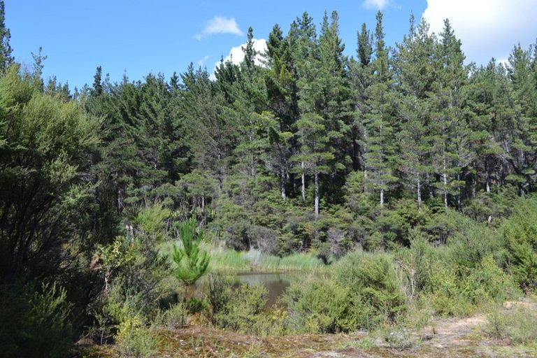 Photo of property in 478 Port Charles Road, Waikawau, Coromandel, 3584