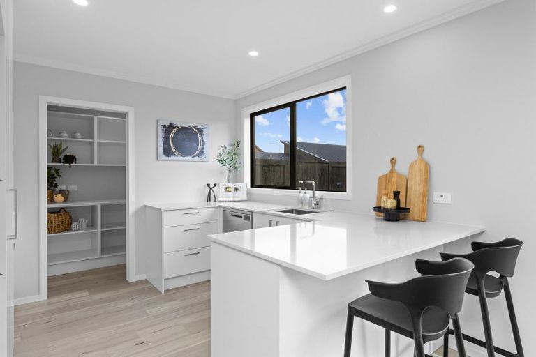 Photo of property in 17 Guillaume Street, Chartwell, 3210