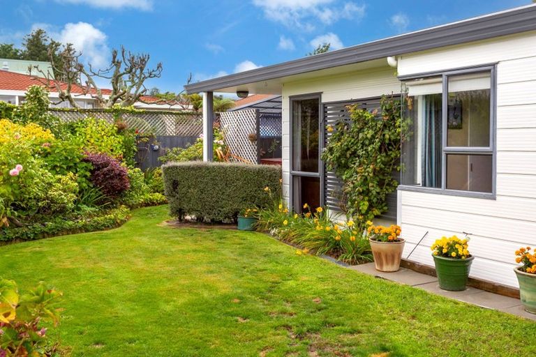 Photo of property in 8 Kaka Street, Taupo, 3330