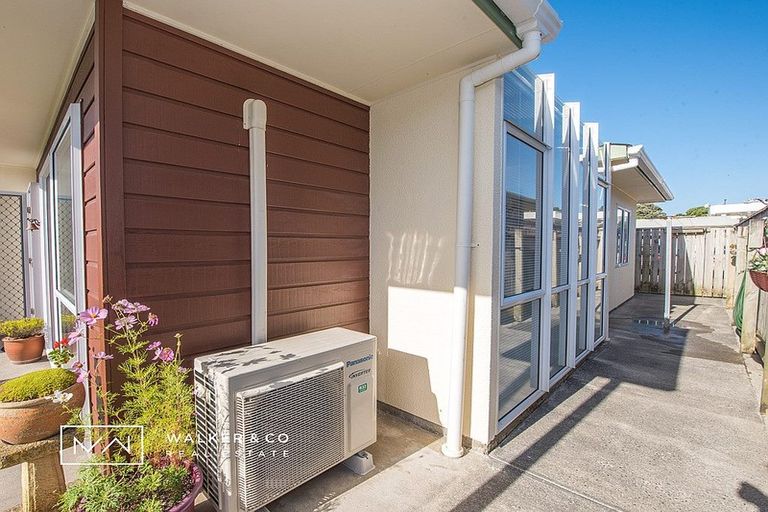 Photo of property in 20 Macalister Place, Miramar, Wellington, 6022