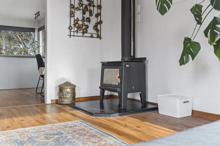 Photo of property in 259a Frankley Road, Ferndale, New Plymouth, 4310