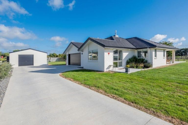 Photo of property in 55 Garth Road, Levin, 5571