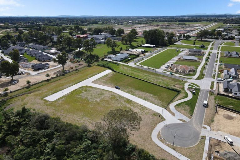 Photo of property in 14 Te Ia Terrace, Cambridge, 3434