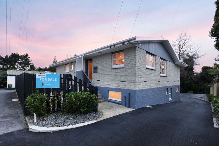 Photo of property in 103 Comries Road, Chartwell, Hamilton, 3210