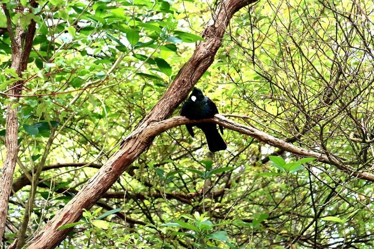 Photo of property in 28 Latitude Close, Whitby, Porirua, 5024