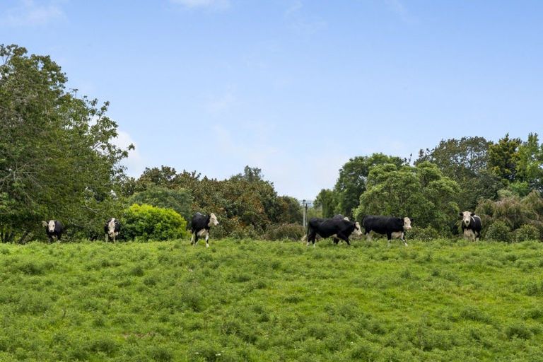 Photo of property in 579 Belk Road, Omanawa, Tauranga, 3171