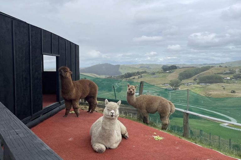 Photo of property in 204 Eskridge Drive, Eskdale, Napier, 4182