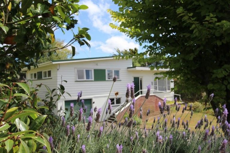 Photo of property in 60 Wakeman Street, Pahiatua, 4910