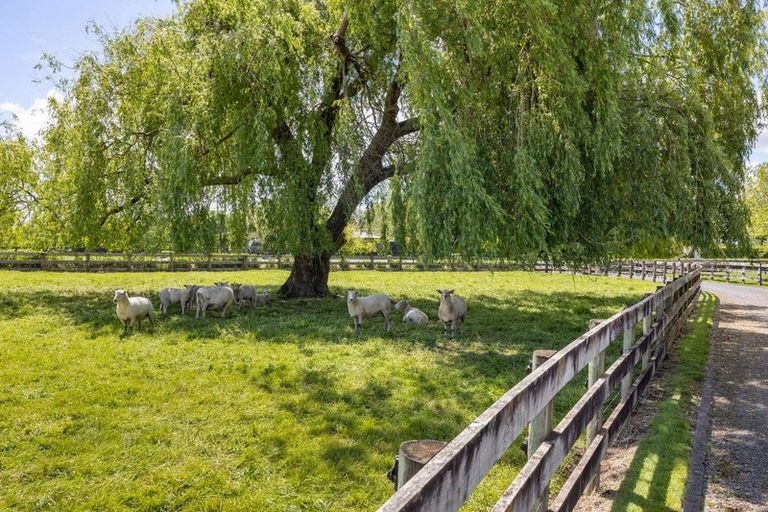 Photo of property in 815 Parallel Road, Ohaupo, 3881