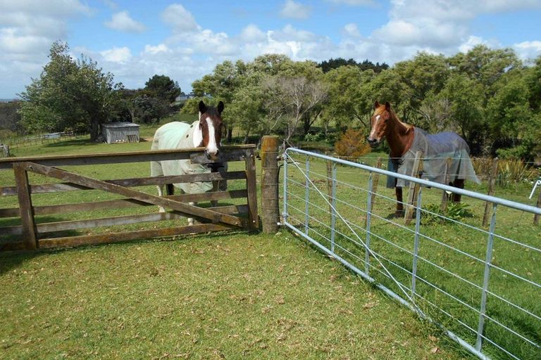 Photo of property in 190 Gleeson Road, Pollok, Waiuku, 2683
