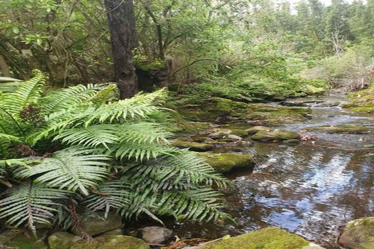 Photo of property in 19 Okura Drive, Kerikeri, 0230