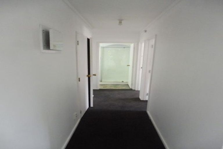 Photo of property in 16a Coates Street, Hamilton East, Hamilton, 3216