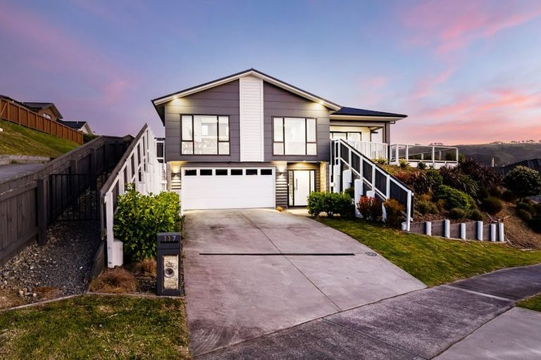 Photo of property in 117 John Burke Drive, Aotea, Porirua, 5024