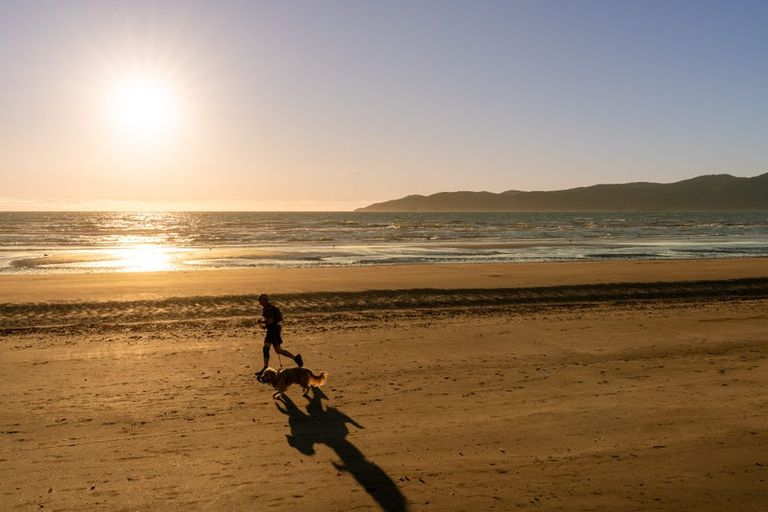Photo of property in 14 Garden Road, Raumati Beach, Paraparaumu, 5032