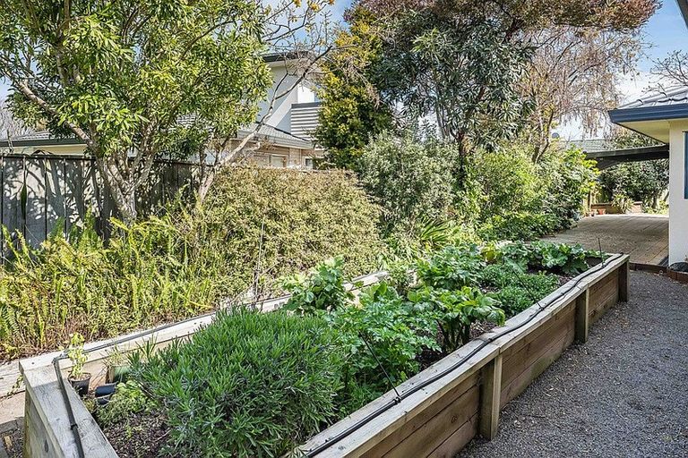 Photo of property in 8 Leigh Place, Paraparaumu Beach, Paraparaumu, 5032