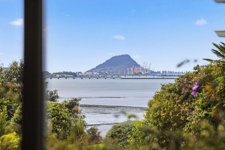 Photo of property in 244 Maungatapu Road, Maungatapu, Tauranga, 3112