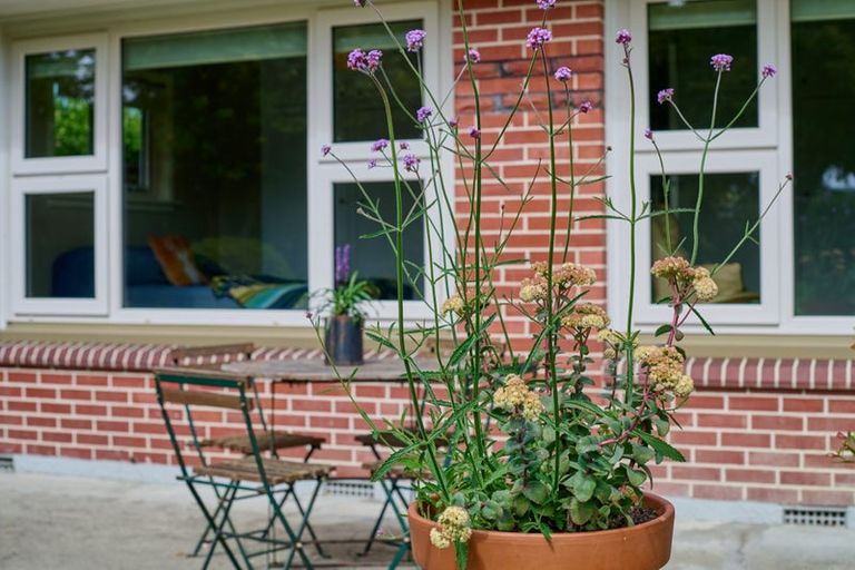 Photo of property in 115 Saint Martins Road, Saint Martins, Christchurch, 8022