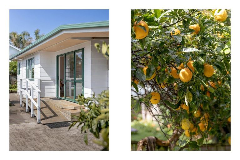 Photo of property in 48c Campbell Road, Mount Maunganui, 3116