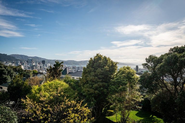 Photo of property in 5/45 Bidwill Street, Mount Cook, Wellington, 6021