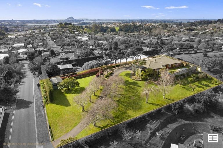 Photo of property in 88r Boscabel Drive, Ohauiti, Tauranga, 3112