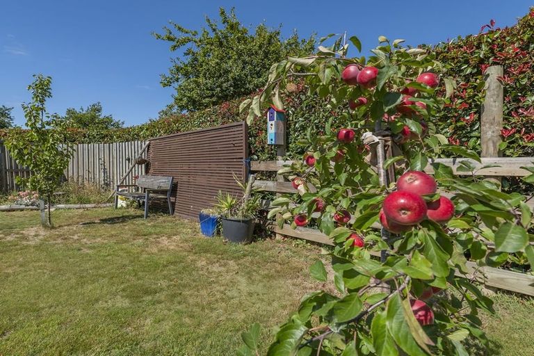 Photo of property in 12 Oak Tree Lane, Rolleston, 7614