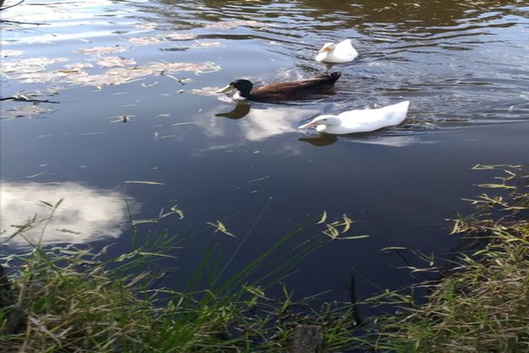 Photo of property in 190 Church Road, Kaitaia, 0482