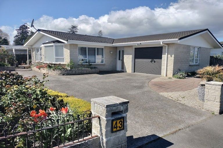Photo of property in 43 Church Street, Masterton, 5810