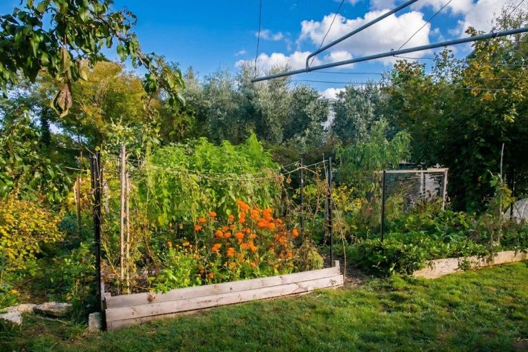 Photo of property in 12 Rakau Street, Havelock North, 4130