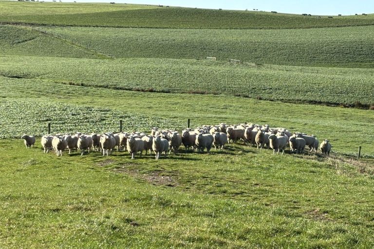 Photo of property in 16 Bay Road, Purakaunui, 9081