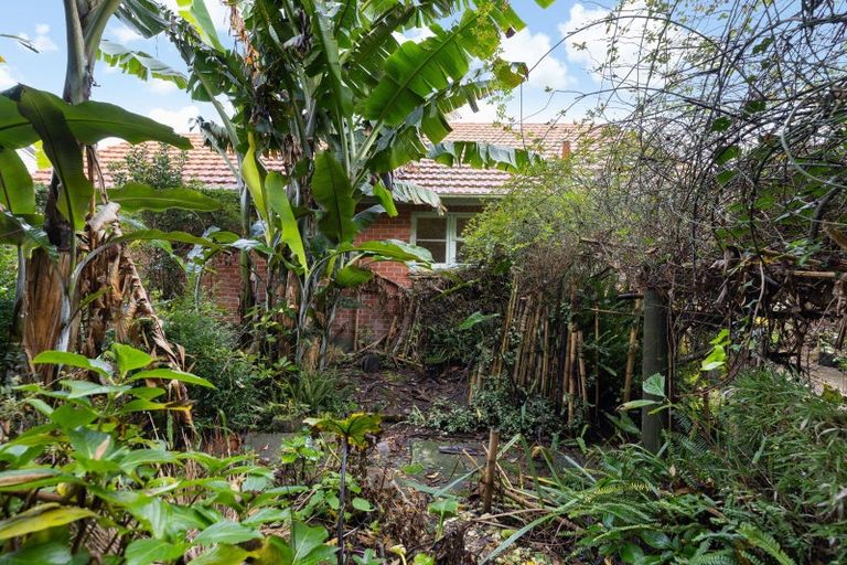 Photo of property in 12 Galway Avenue, Hamilton East, Hamilton, 3216