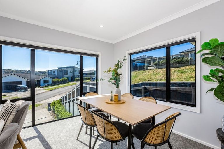 Photo of property in 117 John Burke Drive, Aotea, Porirua, 5024