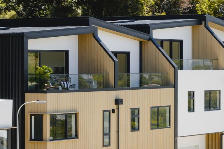 Photo of property in 111 Tiketike Way, Brooklyn, Wellington, 6021