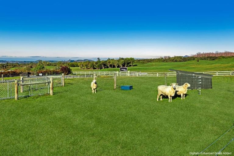 Photo of property in 72a Koura Bay Drive, Hapuku, Kaikoura, 7371