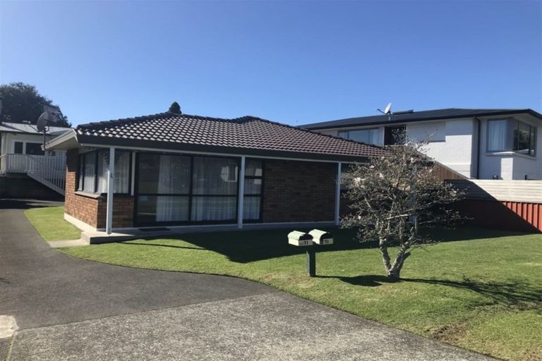 Photo of property in 71a Campbell Road, Mount Maunganui, 3116