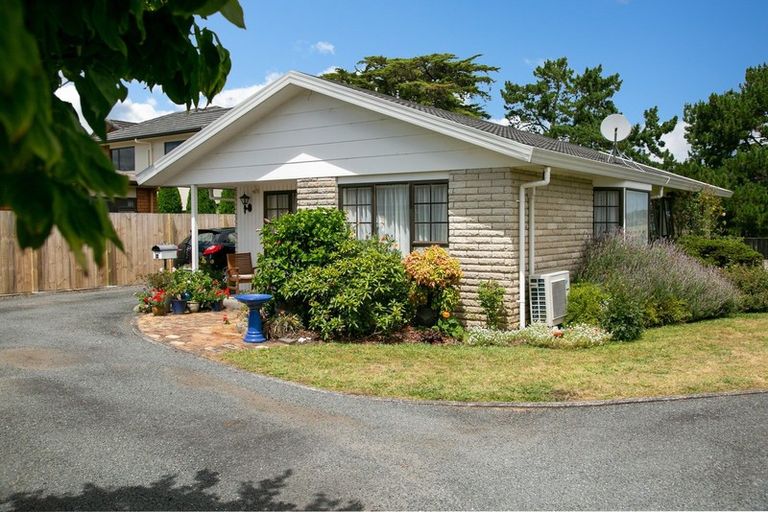 Photo of property in 8b Haworth Avenue, Cambridge, 3434