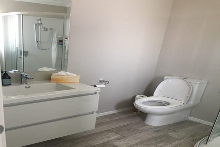 Photo of property in 30u3 Willoughby Street, Whitiora, Hamilton, 3200