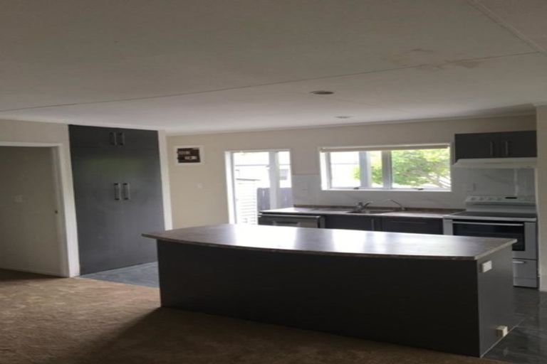 Photo of property in 17 Hindmarsh Street, Henderson, Auckland, 0612